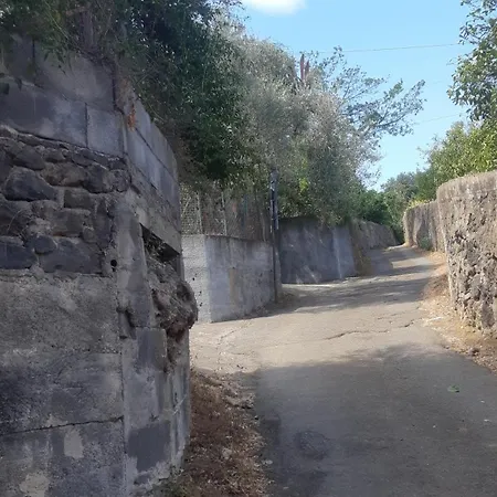 Casa Delle Palme Sicilia A 3 Km Dal Mare