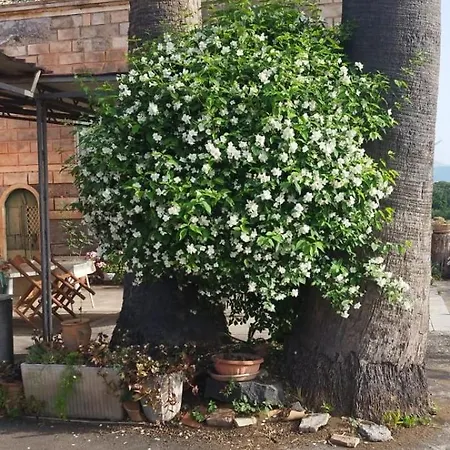 Nyaraló Casa Delle Palme Sicilia A 3 Km Dal Mare Giarre