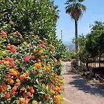 Casa Delle Palme Sicilia A 3 Km Dal Mare