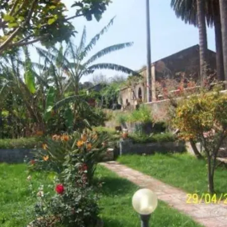 Casa Delle Palme Sicilia A 3 Km Dal Mare Giarre