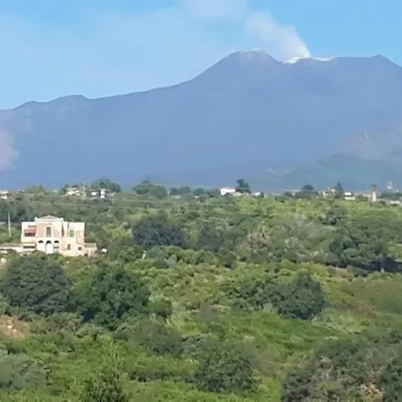 Casa Delle Palme Sicilia A 3 Km Dal Mare