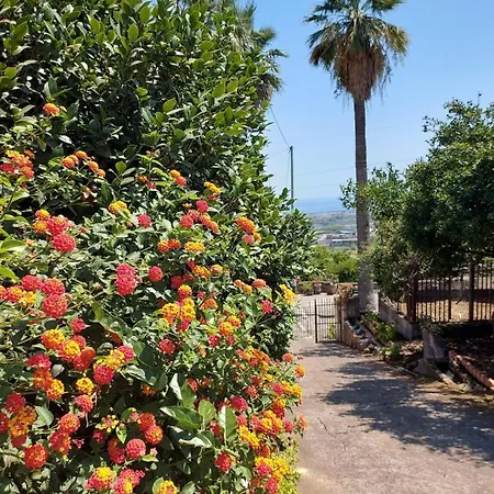 Casa Delle Palme Sicilia A 3 Km Dal Mare